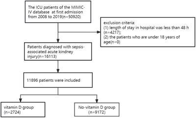 Vitamin D supplementation may be beneficial in improving the prognosis of patients with sepsis-associated acute kidney injury in the intensive care unit: a retrospective study